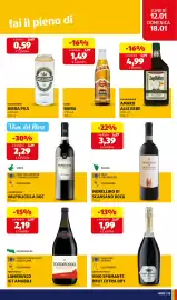 Volantino ALDI settimana 3 Pagina 15