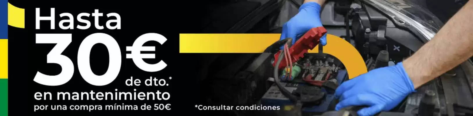 Folleto Euromaster (válido hasta el 31-01)