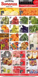 Bonanza flyer week 2 Page 1