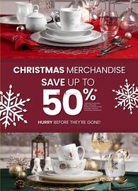 Stokes flyer Page 13