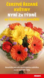 Penny Market leták týden 2 Strana 29