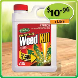 Shiploads catalogue Page 2