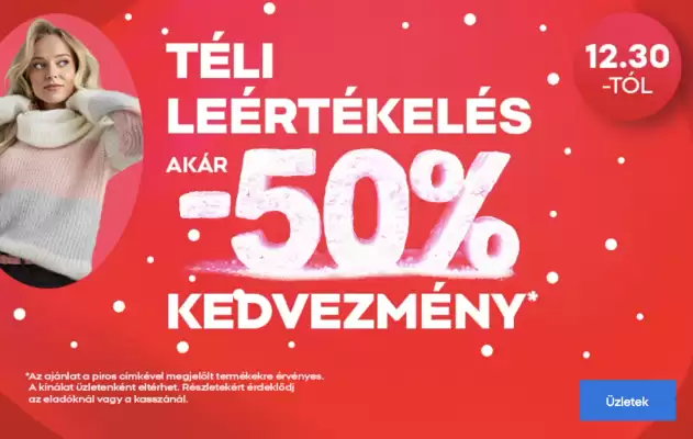 Pepco akciós újság (érvényes eddig: 11-01)