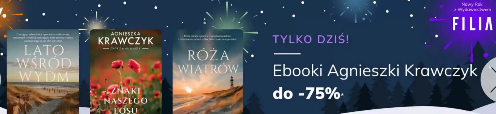 Woblink gazetka (ważność do 11-01)