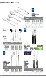 Catalog Metro Pagină 22