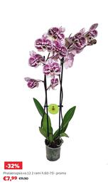 Volantino Bricocenter Pagina 23