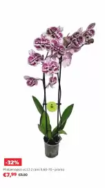 Volantino Bricocenter Pagina 23