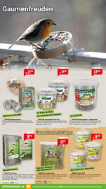 Raiffeisen Markt Prospekt Seite 2