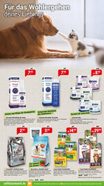 Raiffeisen Markt Prospekt Seite 3