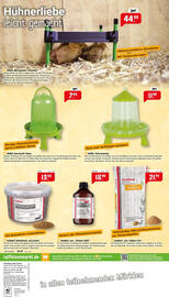 Raiffeisen Markt Prospekt Seite 8