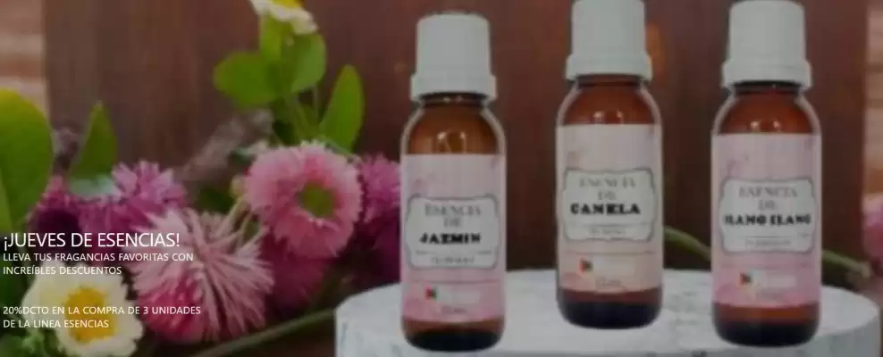 Catálogo Droguería Rosas (válido hasta 15-01)