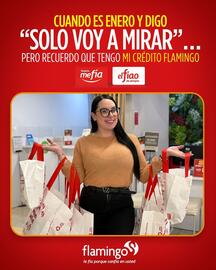 Catálogo Flamingo Página 1