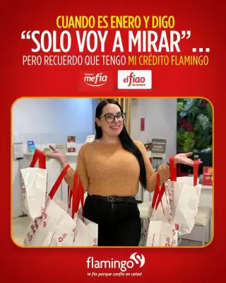 Catálogo Flamingo (válido hasta 31-01)