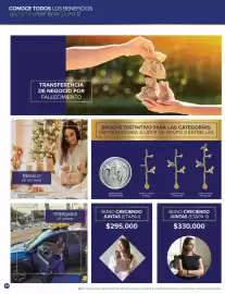 Catálogo Terramar Brands Página 44