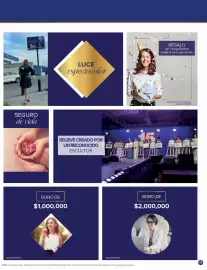 Catálogo Terramar Brands Página 47