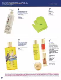 Catálogo Terramar Brands Página 48