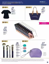 Catálogo Terramar Brands Página 51