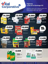 Catálogo Supermayorista Vital semana 2 Página 2