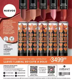 Catálogo Millanel Cosmética Página 196