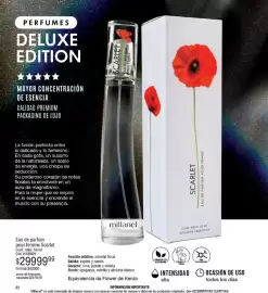 Catálogo Millanel Cosmética Página 22