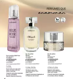 Catálogo Millanel Cosmética Página 30