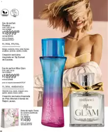 Catálogo Millanel Cosmética Página 34