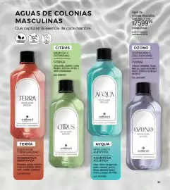 Catálogo Millanel Cosmética Página 61