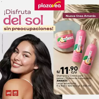 Catálogo Plaza Vea (válido hasta 2-02)