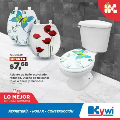 Catálogo Kywi (válido hasta 11-01)