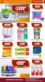 Catálogo Maxi Ofertas semana 2 Página 5