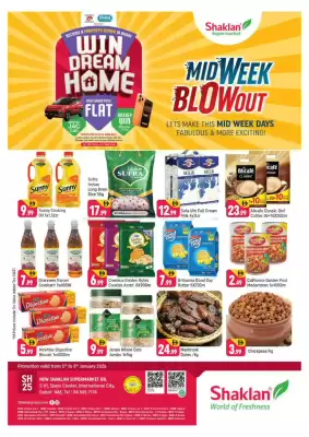 Shaklan leaflet (valid until 8-01)