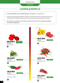 Catálogo Makro Página 22