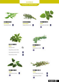 Catálogo Makro Página 29