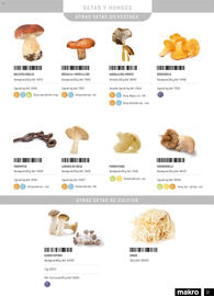 Catálogo Makro Página 37