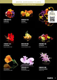 Catálogo Makro Página 41