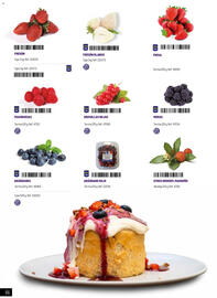 Catálogo Makro Página 66