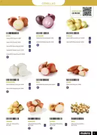 Catálogo Makro Página 13