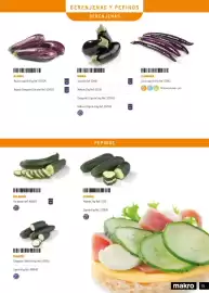 Catálogo Makro Página 19