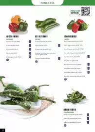 Catálogo Makro Página 20