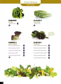 Catálogo Makro Página 24