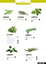 Catálogo Makro Página 29