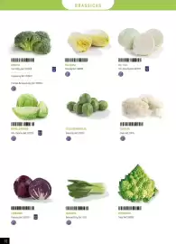 Catálogo Makro Página 32