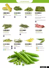 Catálogo Makro Página 33