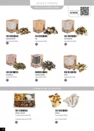 Catálogo Makro Página 36