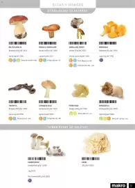 Catálogo Makro Página 37