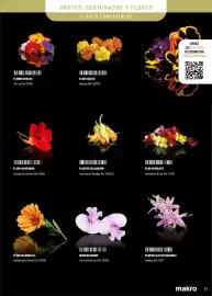 Catálogo Makro Página 41