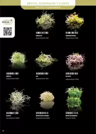 Catálogo Makro Página 42