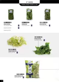 Catálogo Makro Página 52