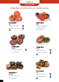 Catálogo Makro Página 6