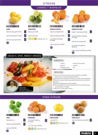 Catálogo Makro Página 67